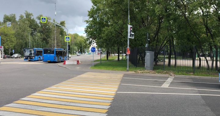 Пешеходный переход в Москве